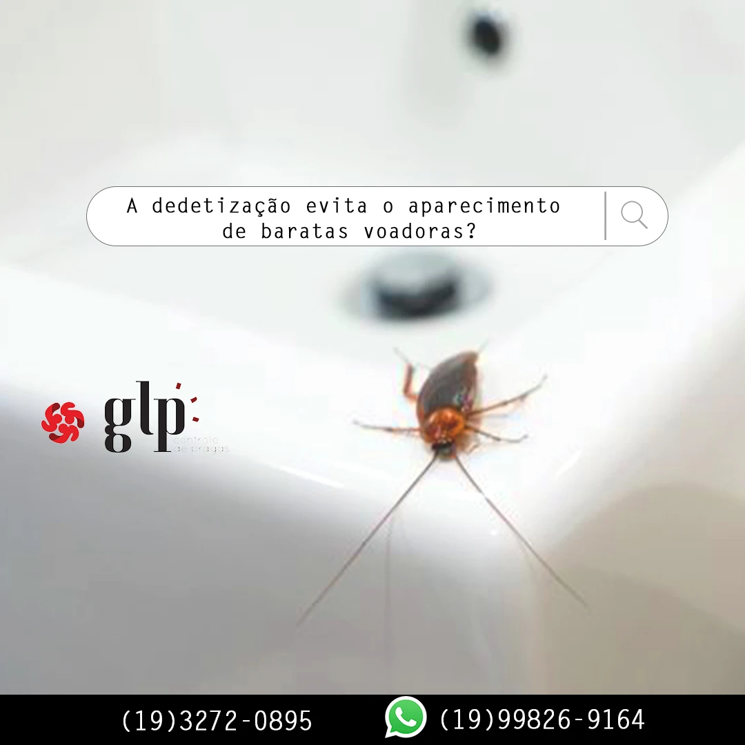 A dedetização evita o aparecimento de baratas voadoras?