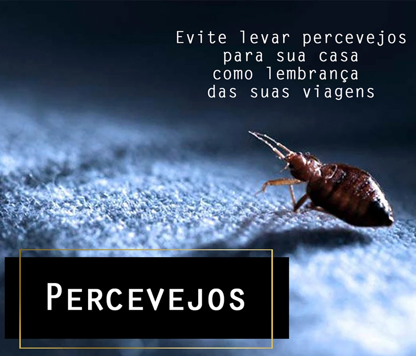 Percevejos