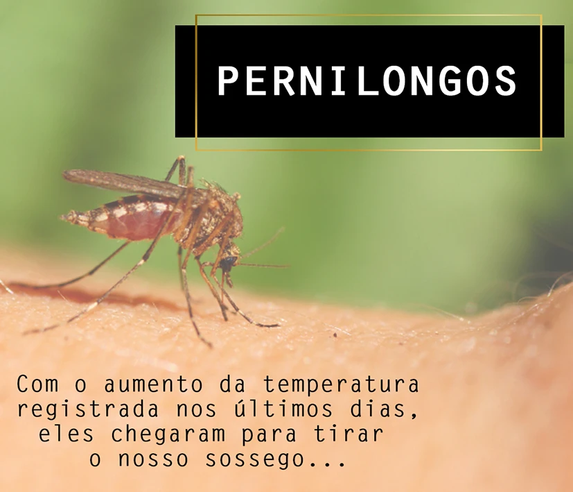Pernilongos